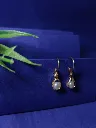 IMG20250616132613.webp