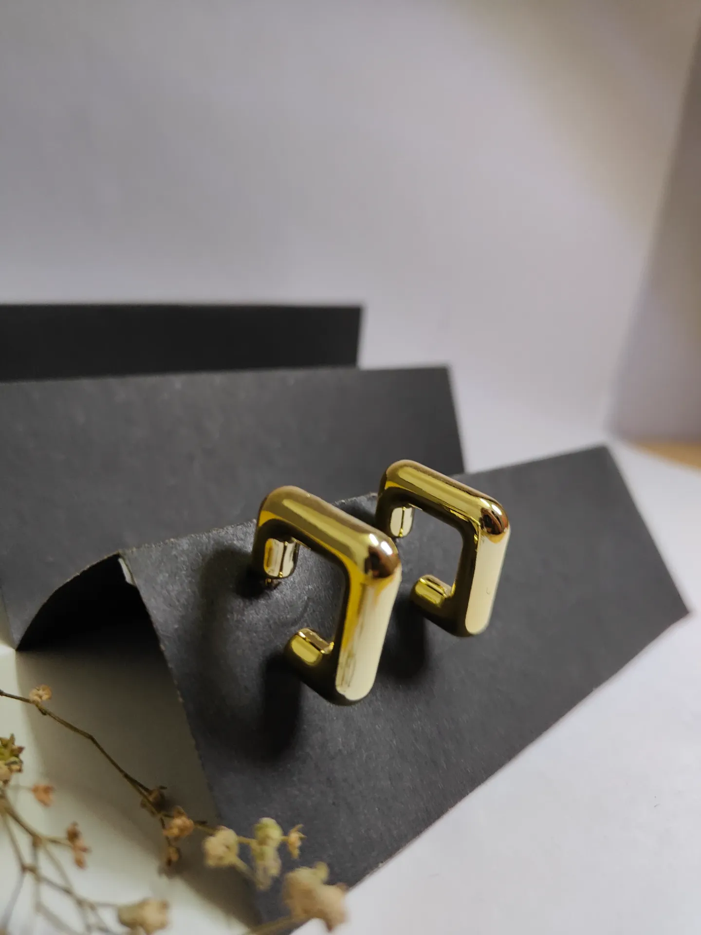 Beautiful hoops earrings for girls and women
